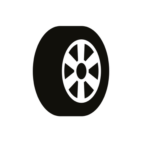 245/45R18 100V SNOWLINK XL